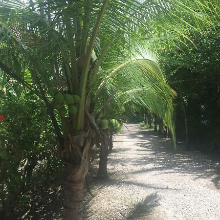Villas Luna De Miel Carmen  外观 照片