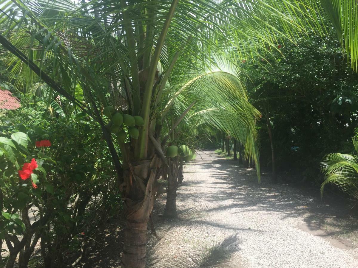 Villas Luna De Miel Carmen  外观 照片